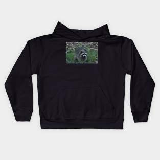 Raccoon Kids Hoodie